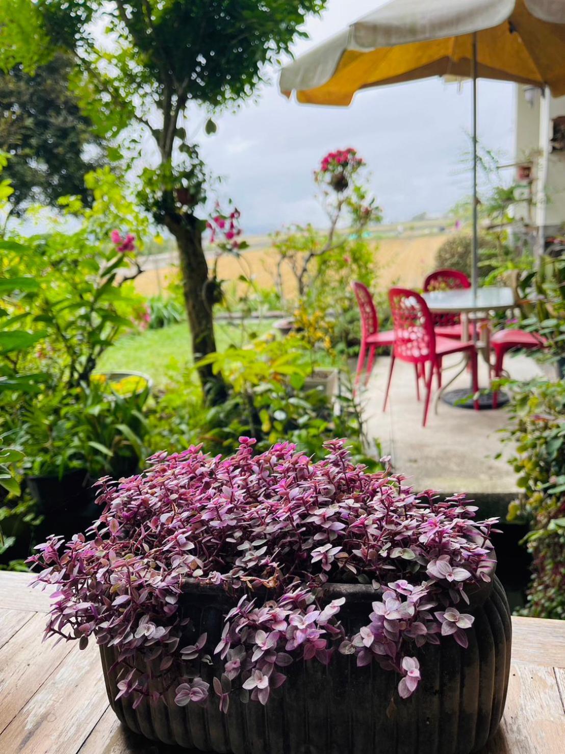 צ'ישאנג Xian Qing Yu Zhi Homestay מראה חיצוני תמונה